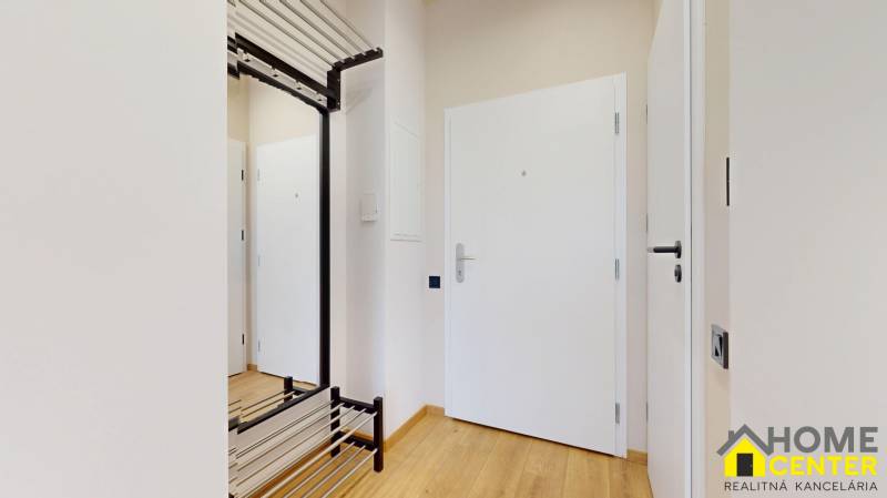 Entrance hall in a one-room apartment with white doors and a wooden decor floor.