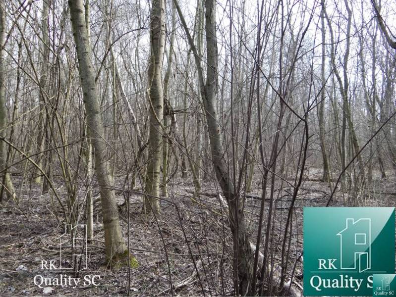 Forest land at the Old Port Gabčíkovo designated for residential use.