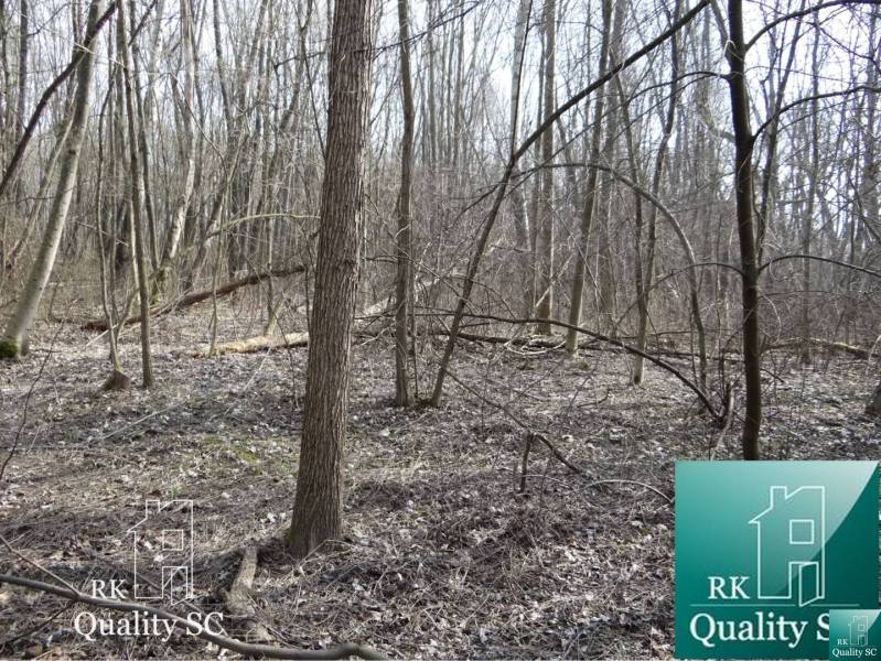Forest landscape on the plots - living in the Old Port Gabčíkovo.
