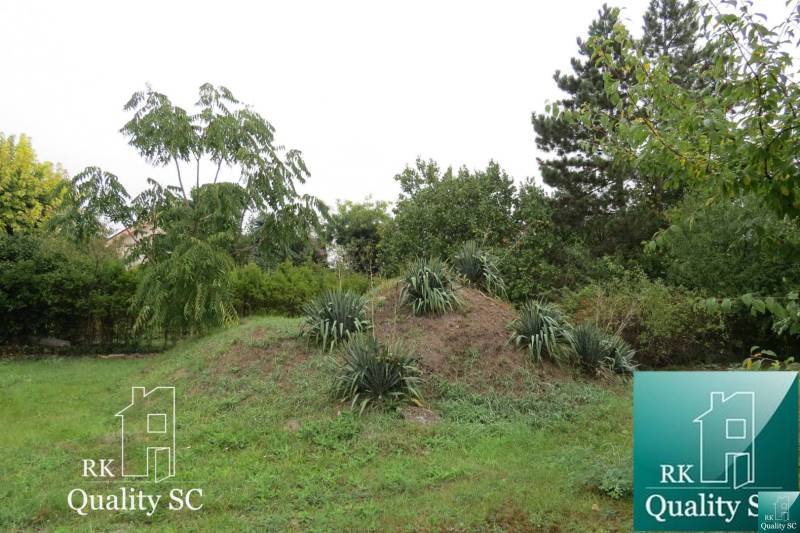 Garden with plants and trees at the family house on Záhumenská in Kráľová pri Senci.