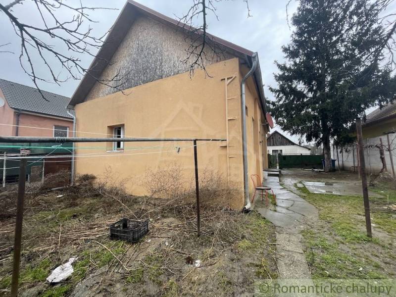 A family house in Neded with a garden, trees, and slightly gloomy weather.