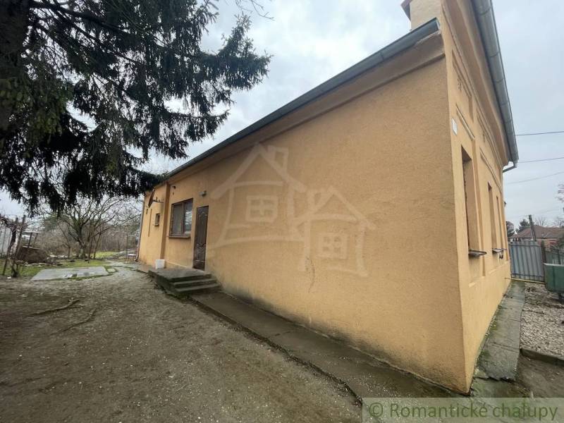 A family house in Neded with an ochre facade, near a tree and a grassy plot.