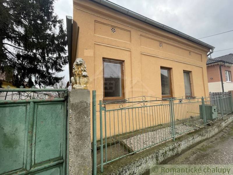 A family house in Neded with a brick facade, a green fence, and a lion statue.