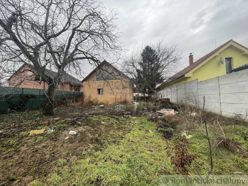 Courtyards of a family house in Neded, trees, grass, and a concrete fence.