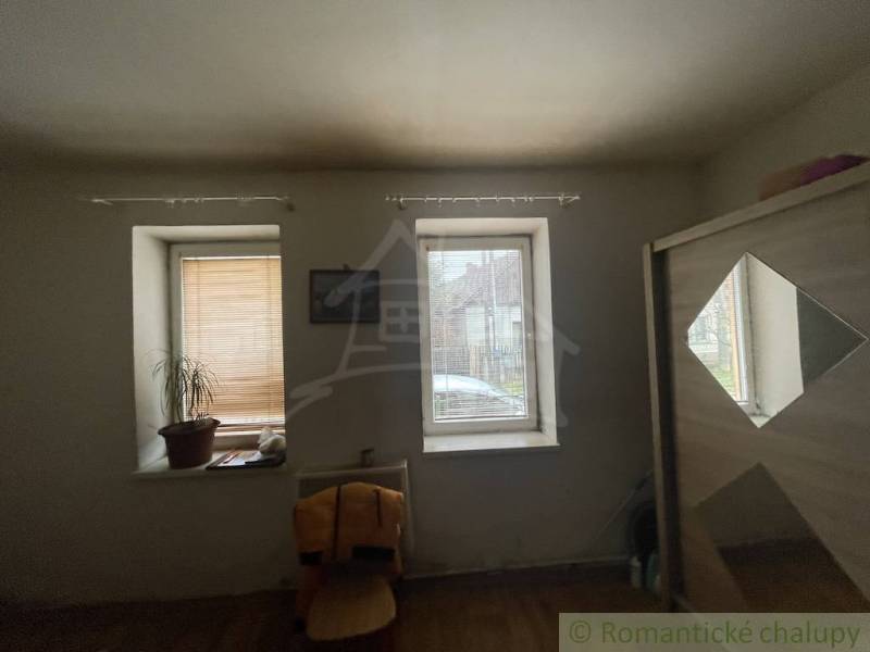 A room with two windows, a wooden decor floor, a plant, and a chair.