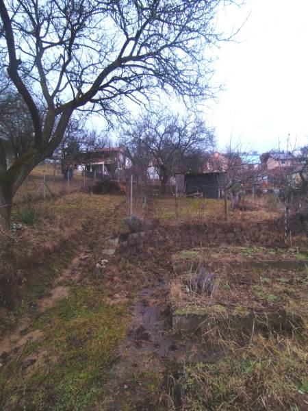 Gardens in Nové Mesto nad Váhom with trees and sparse vegetation on a winter day.