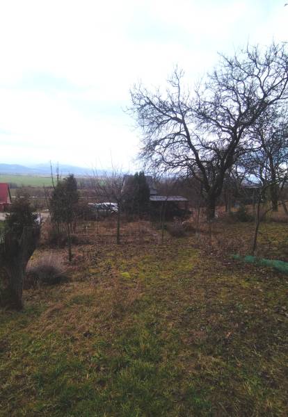 A view of winter gardens in Nové Mesto nad Váhom with bare trees and grass.