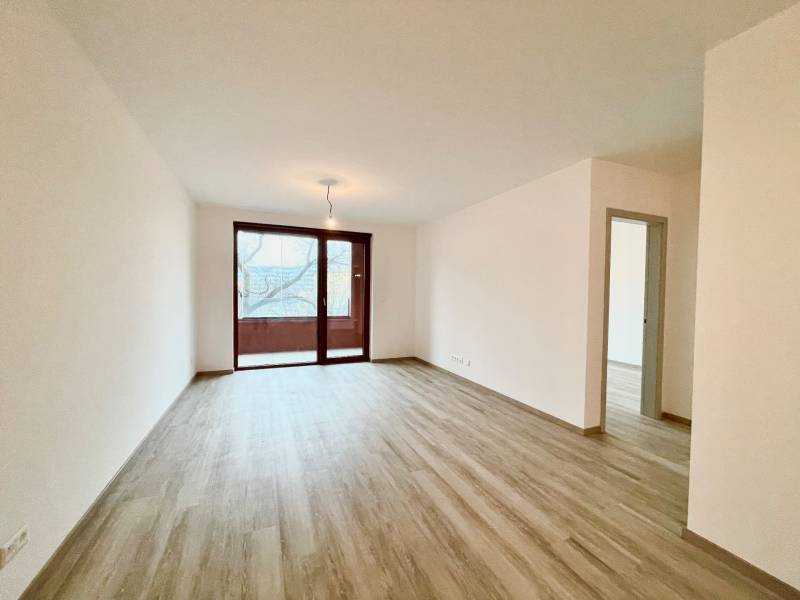 Living room in a two-room apartment with a wood-patterned floor and a large window.