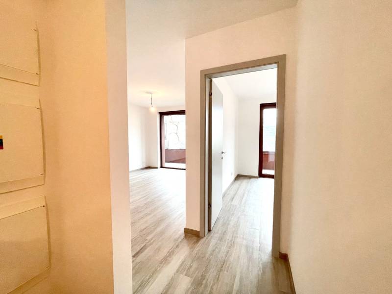 A hallway in a 2-room apartment with a wooden decor floor and light-colored walls.