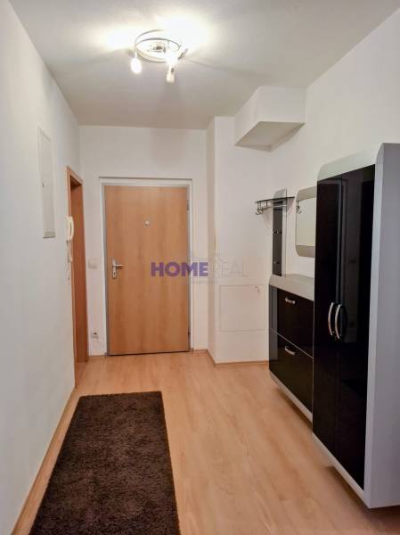 A hallway in a 3-room apartment with a wooden decor floor and black cabinets.