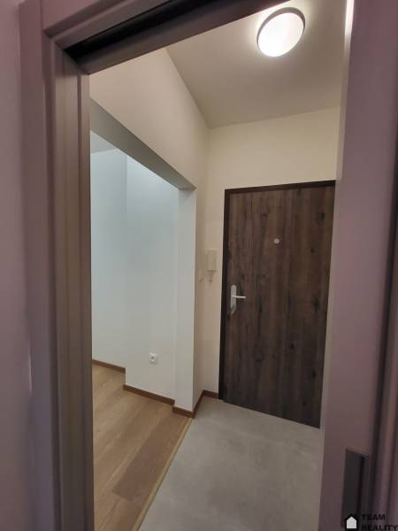 Entrance hallway of a 2-room apartment with brown doors and a wooden-patterned floor.