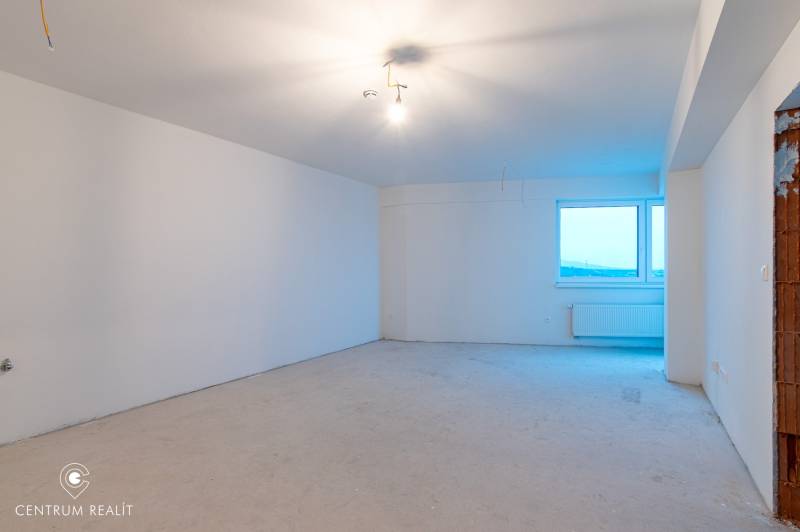 An empty room with a high ceiling, white walls, and a window in a two-room apartment.
