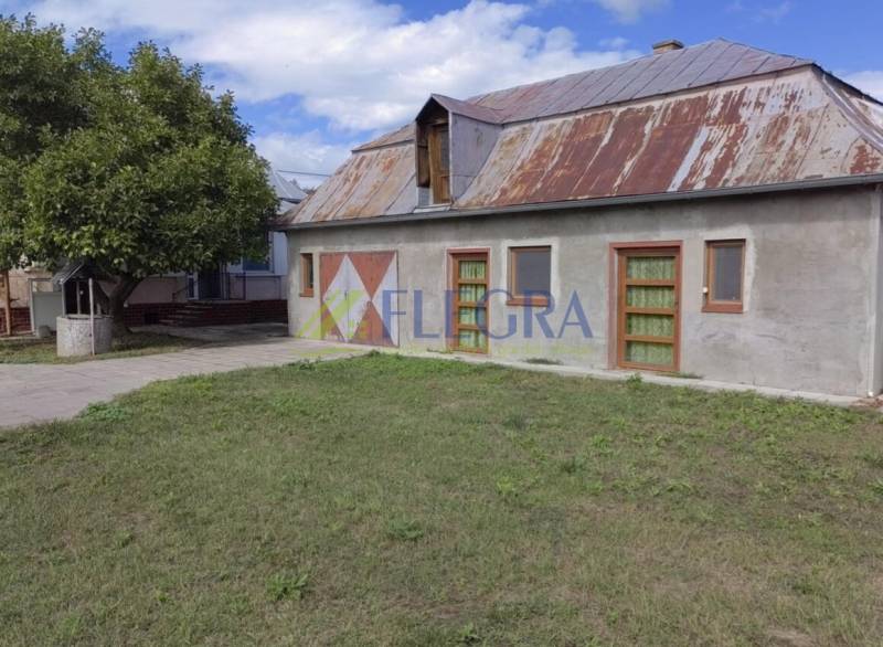 A family house in Veľké Raškovce with a metal roof and a garden with a tree.