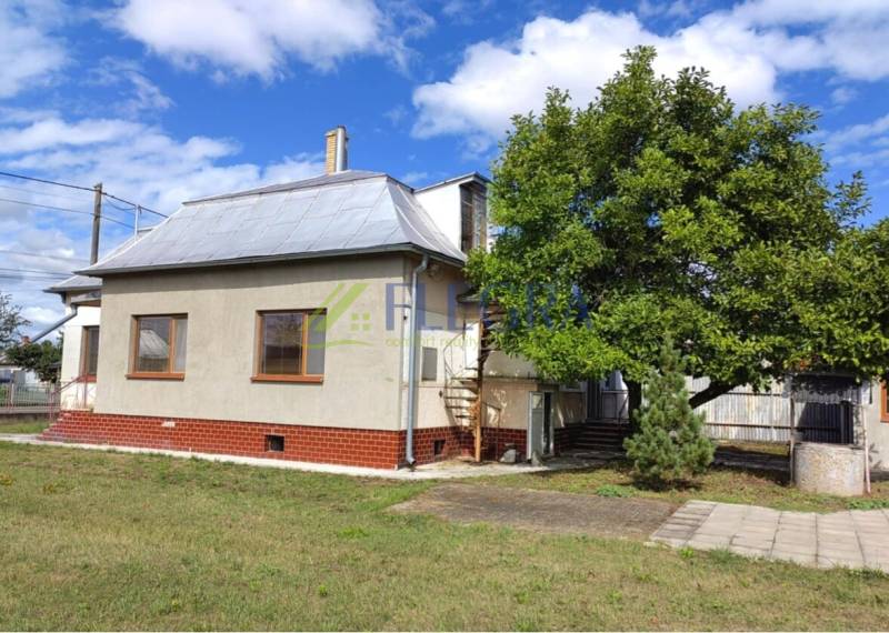 A family house in Veľké Raškovce with a metal roof, a tree, and a lawn in the garden.