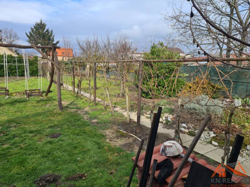 Garden in Saint Peter with structures for vines and wooden swings. Plots - housing.