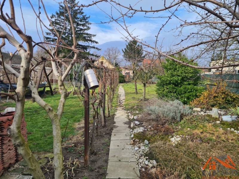 Garden in Svätý Peter with vines and ornamental plants, Land - housing.