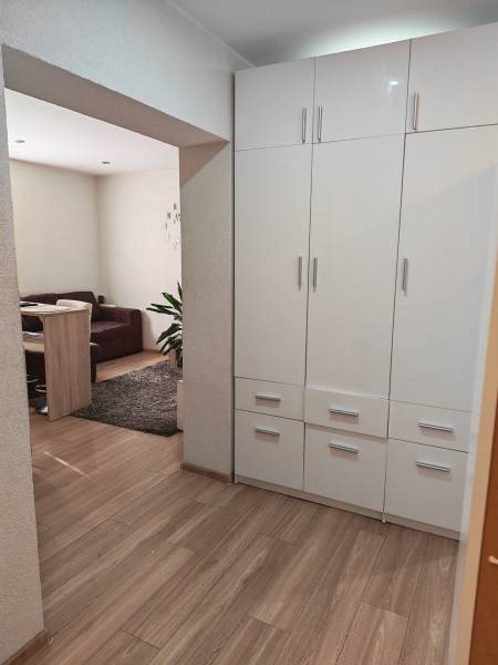 White built-in wardrobe and wooden decor flooring in a studio apartment.