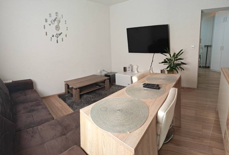 Living room in a studio apartment, wood-patterned floor, TV on the wall.