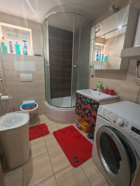 A bathroom with a shower, a washing machine, and red rugs in a studio apartment.