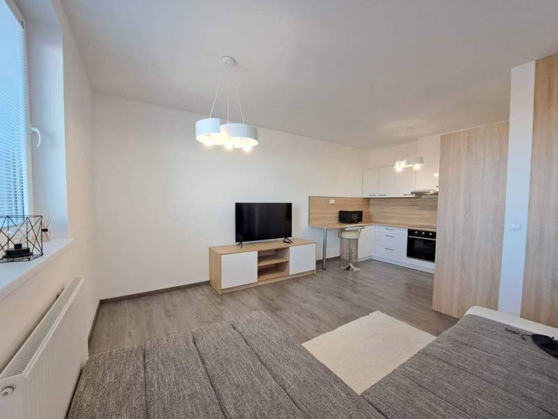 Living room in a 2-room apartment. Modern kitchen, TV, wooden decor flooring.