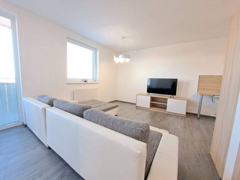 Living room in a two-room apartment with a wooden decor floor and a television.