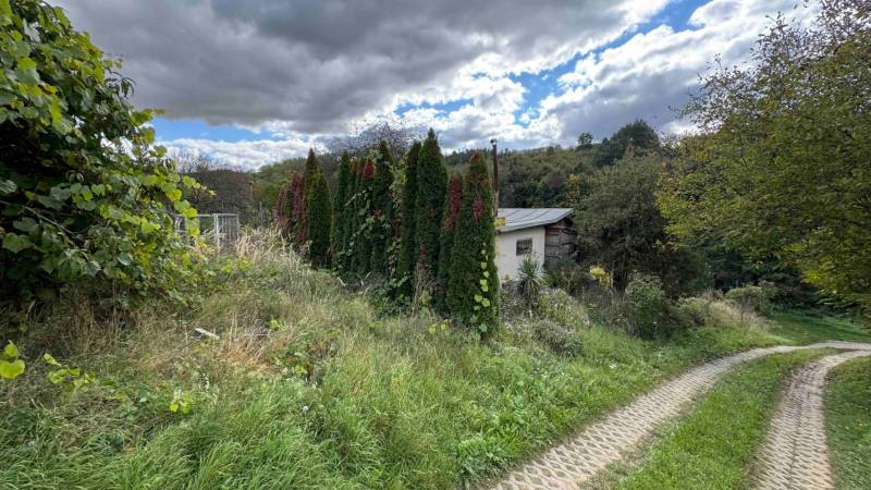 The path leads to a small cottage in Hlohovec, surrounded by dense greenery and cypress trees.