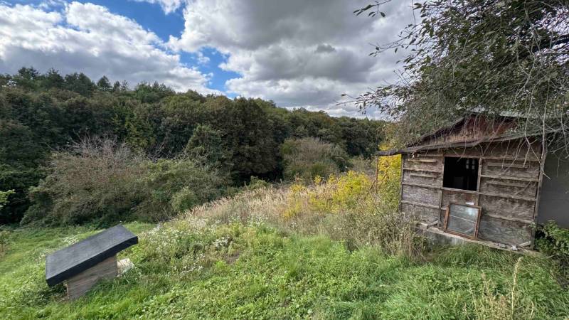 A cottage in Hlohovec surrounded by dense forest and a meadow under a cloudy sky.