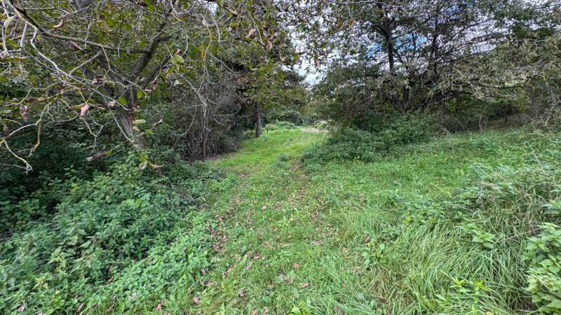 The green path leads through the dense forest around Hlohovec near the cottage.