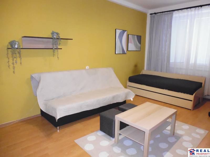 Living room in a one-room apartment with wood-patterned flooring, a yellow wall, and a sofa.