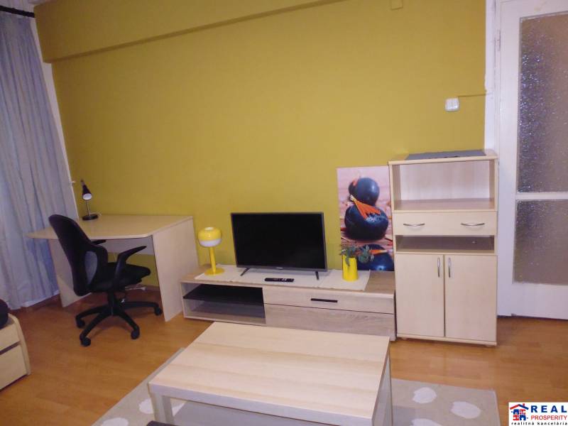 Living area in a studio apartment with wood-patterned flooring, a desk, and a TV stand.