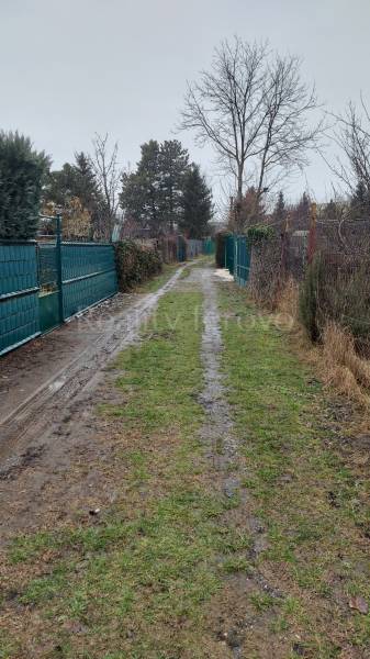 A snowy road between fences leads to a cottage in Nové Zámky.