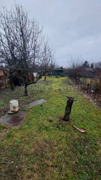 A garden by the cottage in Nové Zámky with a lawn and leafless trees under a gloomy sky.