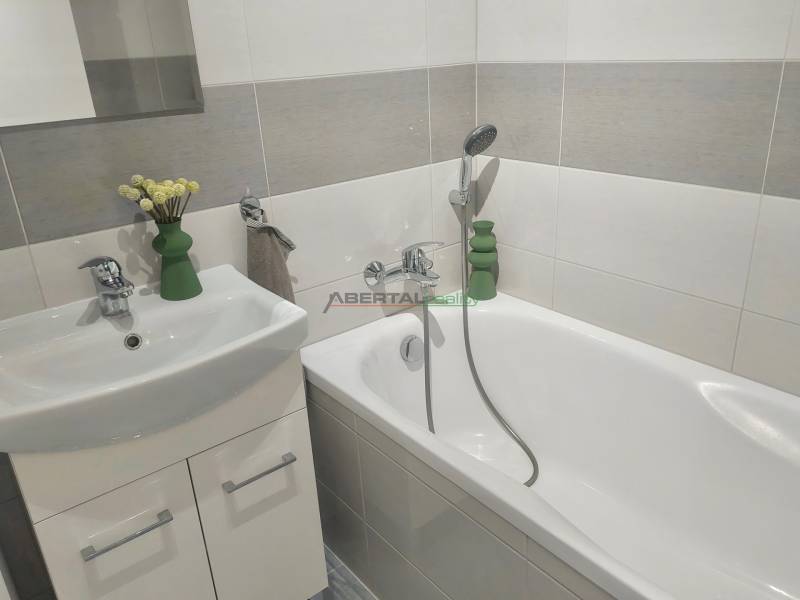 Bathroom with a shower bath, sink, and floral decoration in a 2-room apartment.