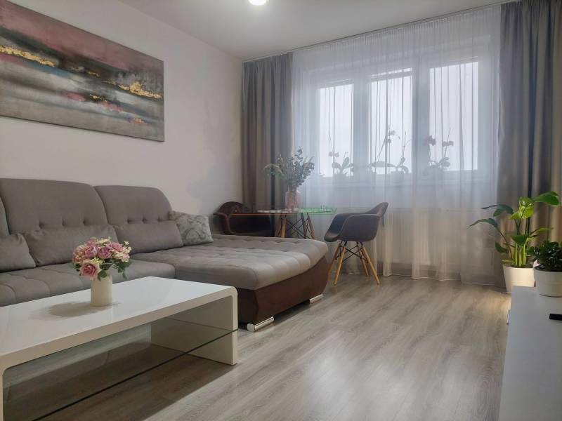 Living room with a sofa, coffee table, and wooden decor flooring in a two-room apartment.