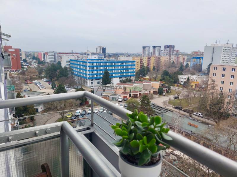 View from the balcony of a 2-room apartment on Šalviová Street, Bratislava - Ružinov, with a plant on the railing.