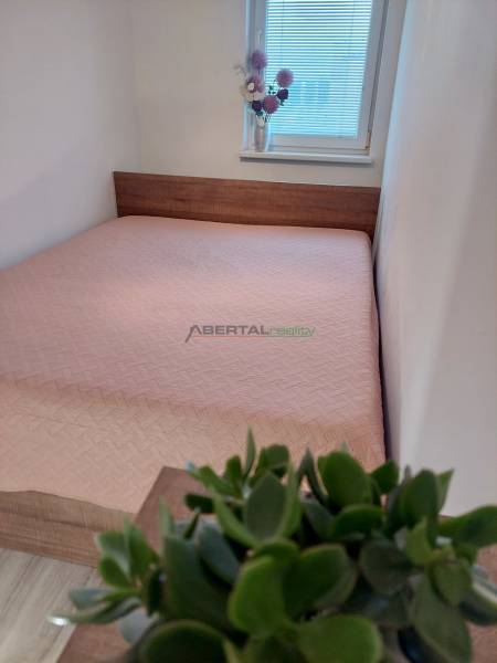 A bedroom in a 2-room apartment with light bedding, decoration, and a flower pot.