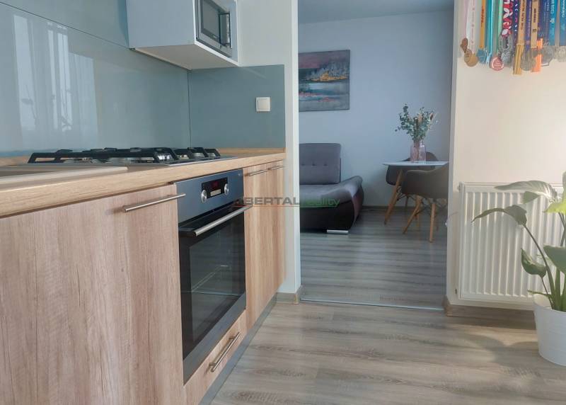 Kitchen unit with a gas stove, floor with wooden decor, view into the living area in a 2-room apartment.