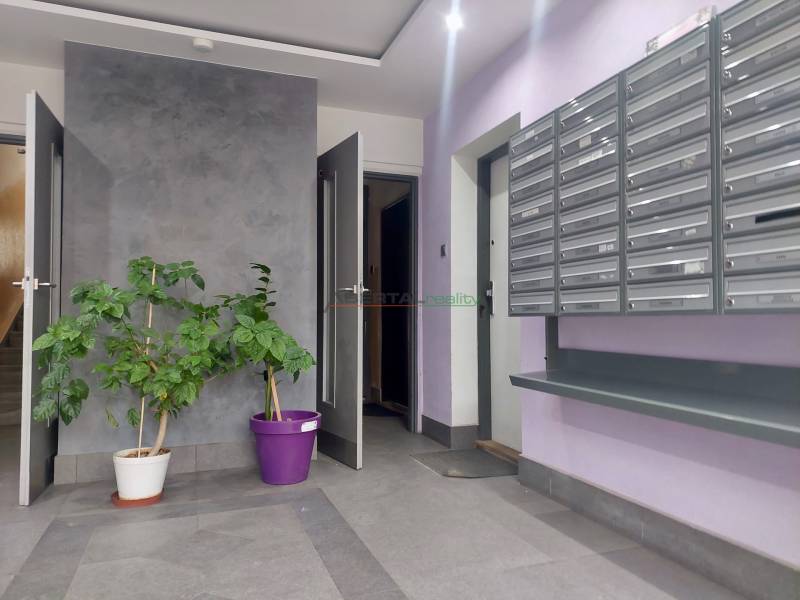 Entrance in a 2-room apartment with mailboxes, doors, and plants.