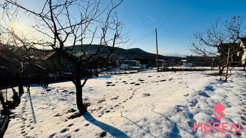 A snowy garden with fruit trees by a family house in Horna Ves.