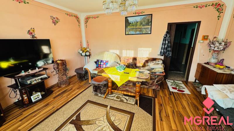 Living room in a family house with a television, carpet, and wooden decor flooring.