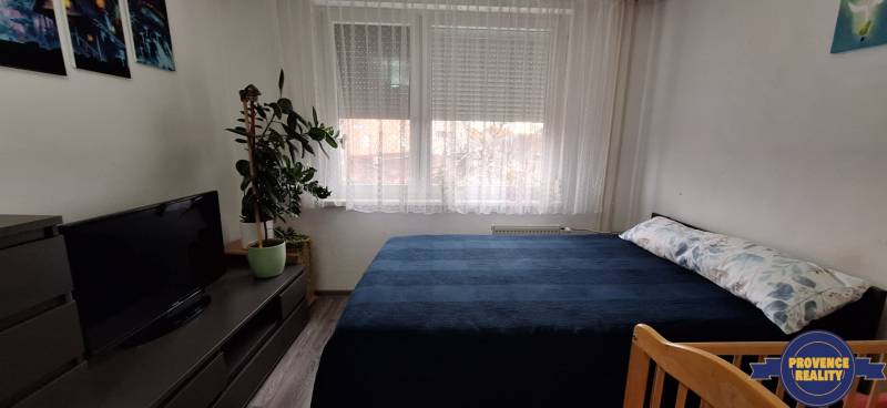 A bedroom in a 3-room apartment with a bed, a television, a plant, and a chair.