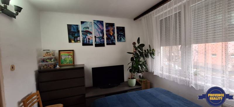 A bedroom in a 3-room apartment with a plant, television, and pictures on the wall.