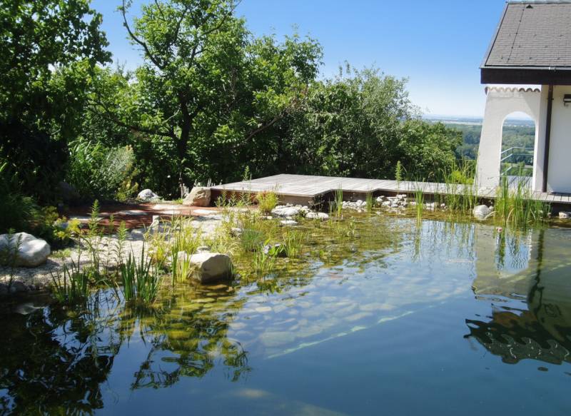 A pond and a terrace at a family house in Hainburg an der Donau, surrounded by greenery.