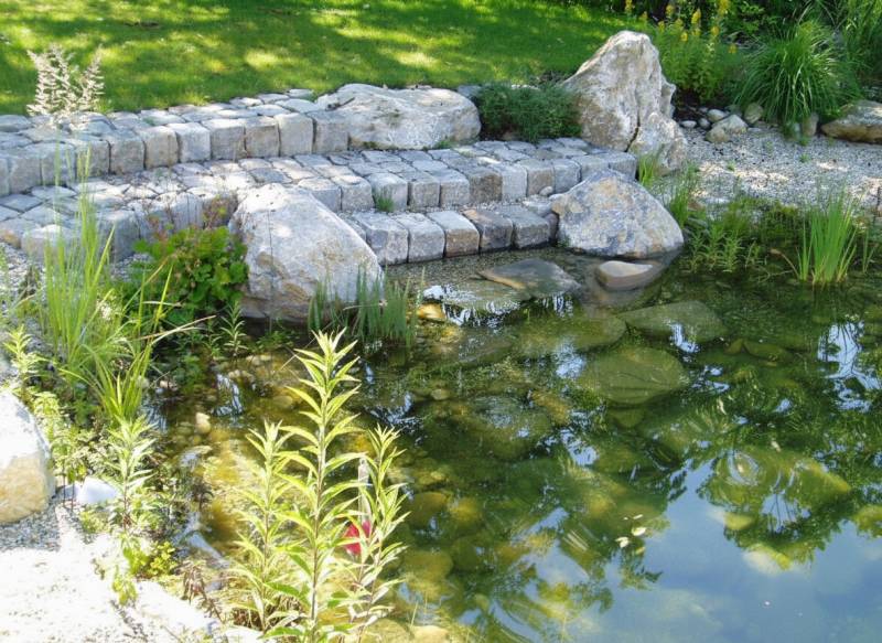 A garden with stone steps and a pond by a family house in Hainburg an der Donau.