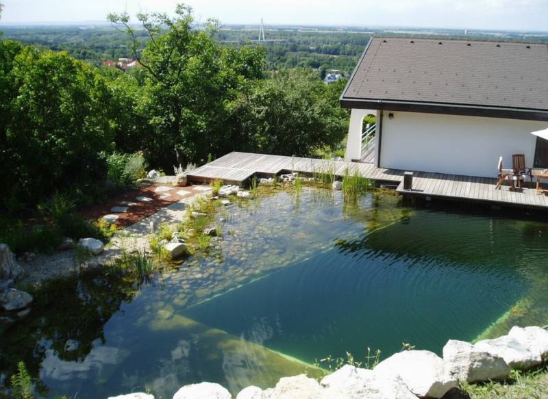 A family house in Hainburg an der Donau with a natural pool by the terrace surrounded by greenery.