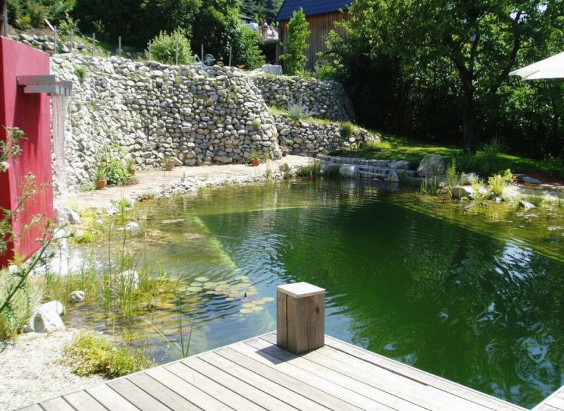 The garden of a family house in Hainburg an der Donau with a natural pond and a terrace.