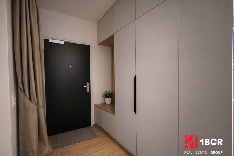 Entrance hallway with dark doors and built-in wardrobes in a studio apartment.