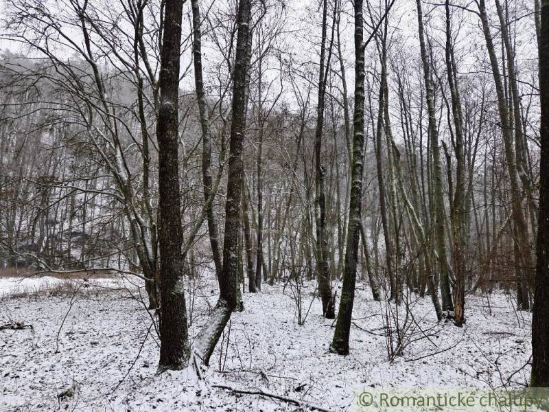 A snowy forest in Hrušov creates a winter atmosphere when looking at the gardens.
