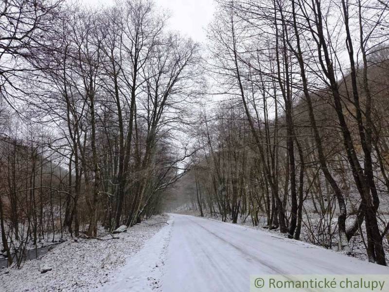 A snowy road in the Gardens near Hrušov, surrounded by leafless trees.