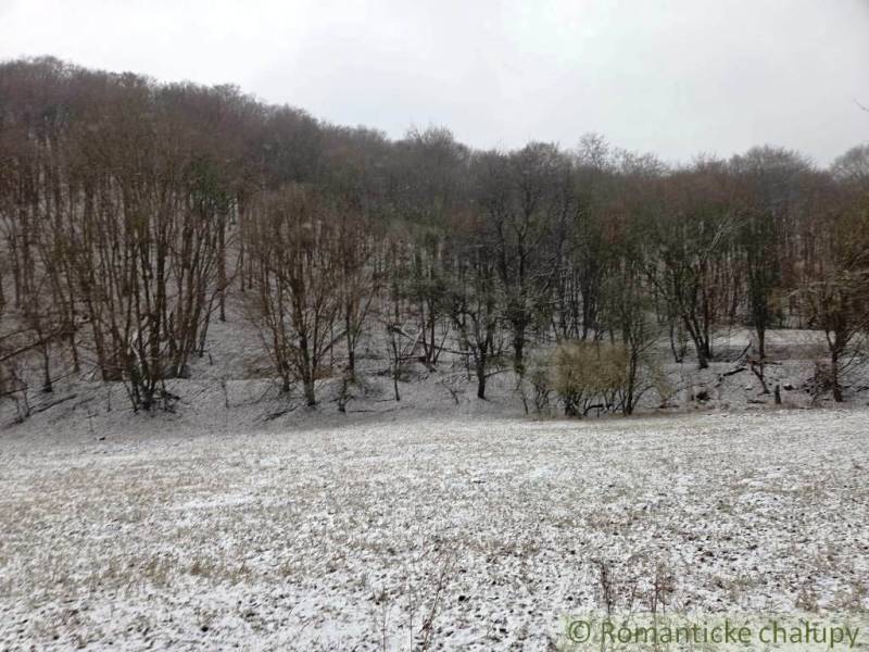 Snowy forest landscape in Hrušov with trees in Záhrady.